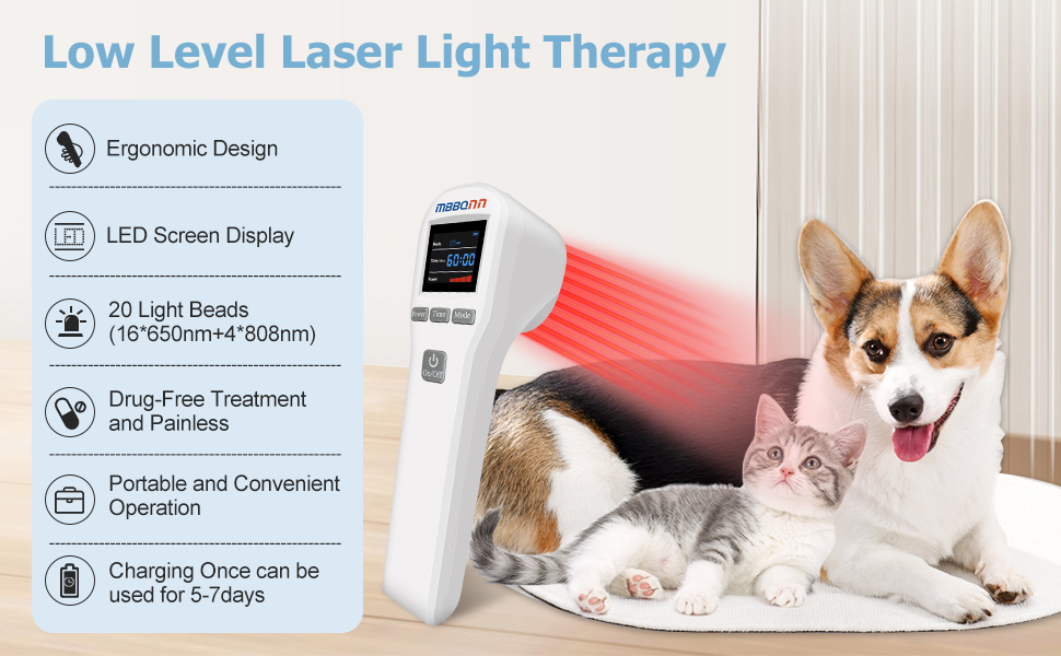 Cold laser therapy for dogs