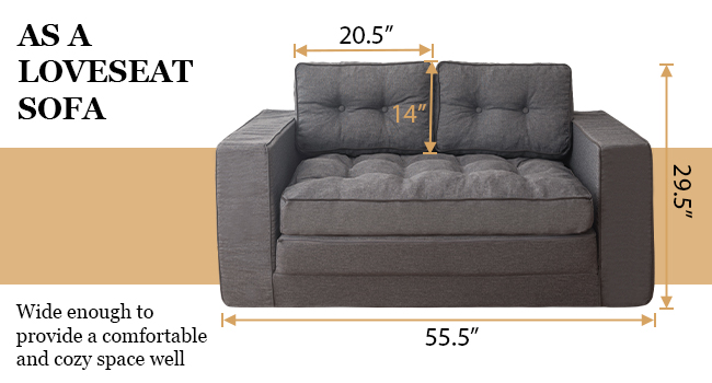 Loveseat Sleeper Sofa