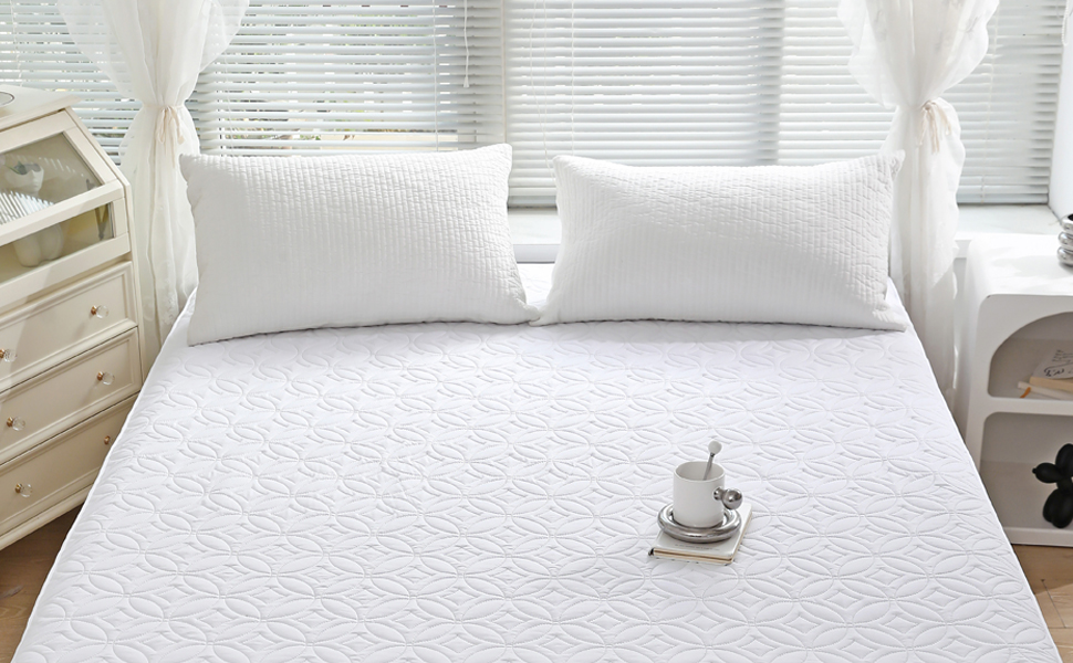FELTYBED Queen Size Waterproof Mattress Protector, Soft Bed