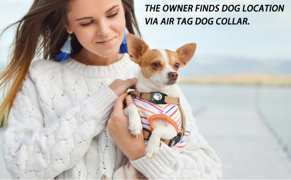 AirTag Dog Collar Holder Waterproof Airtag Keychain Holder