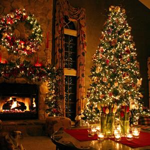 warm white lights festival use