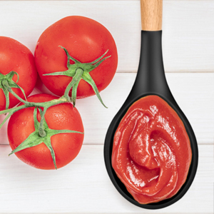 12 Pieces Spatula