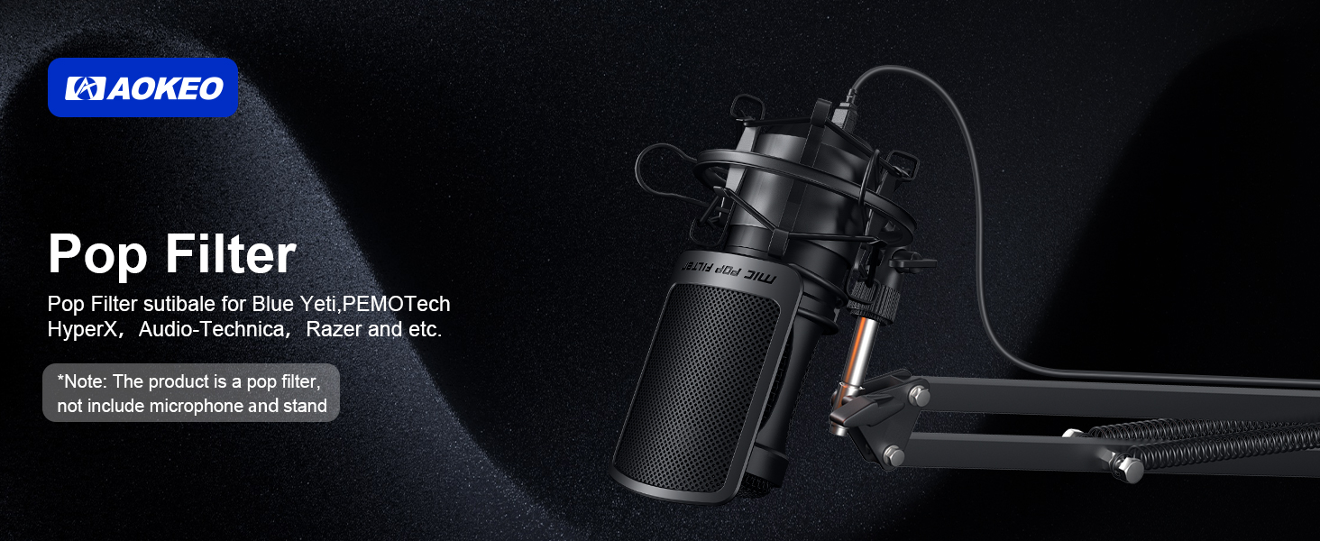 microphone pop filter