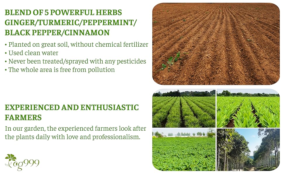 Anti-Inflammaheb Loose Leaf Tea