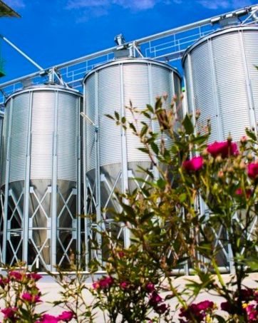 Industrielle Getreidelagersilos mit Metallic-Silber-Finish, vor blauem Himmel mit rosa Blumen und Blattwerk im Vordergrund.