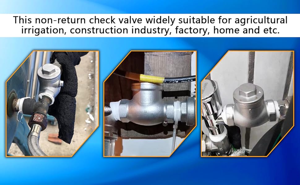 3/4 NPT Swing Check Valve, Stainless Steel Female Thread