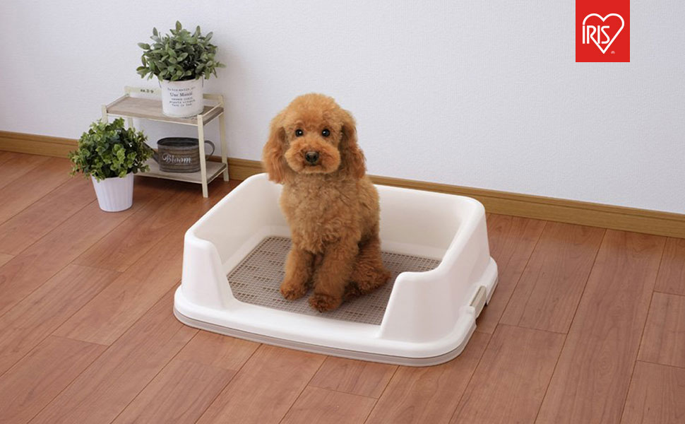 Plateau d'apprentissage à la propreté - Dog Toilet