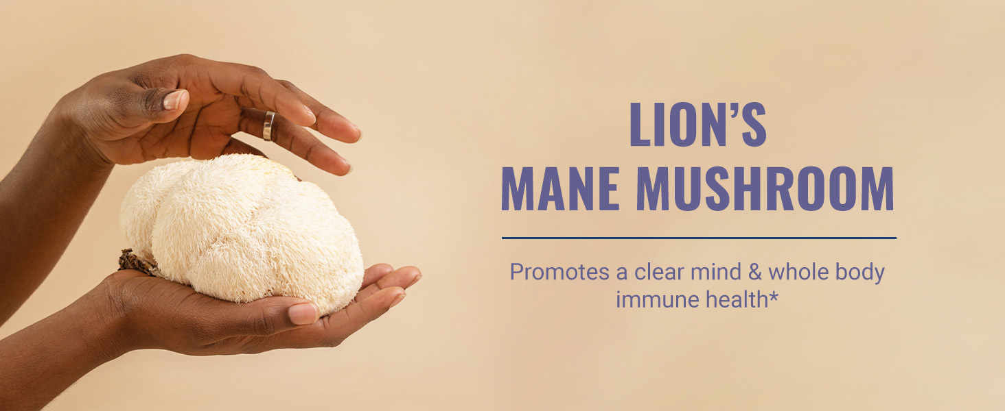 Lions Mane and Mushroom Blend 3