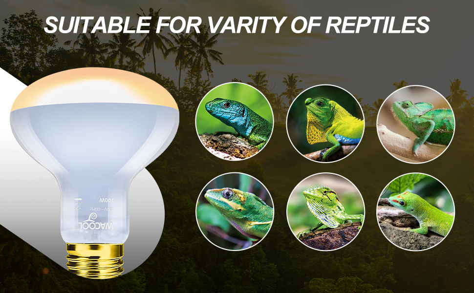 WACOOL 2Pack Reptile Heat Lamp Bulbs,100W UVA Daylight