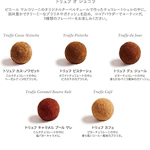 Amazon | PIERRE MARCOLINI(ピエール マルコリーニ) 日本公式