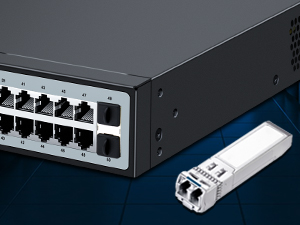 48 Port PoE Switch