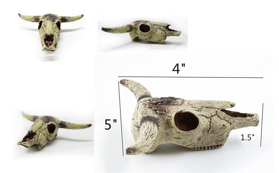 Fish Tank Smworldnet027 Skull Decorations