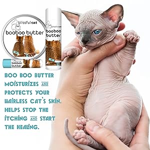 sphinx cat skin care
