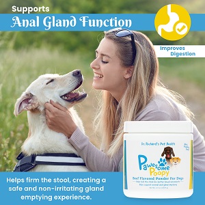 A woman petting a dog with an image of the product in the foreground.
