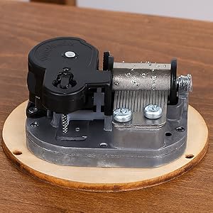 31