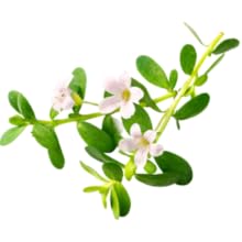 Small manufacture image 5