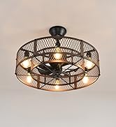 DLLT Caged Ceiling Fan with Lights: 20