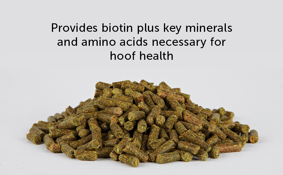 Provides biotin plus key minerals and mino acids