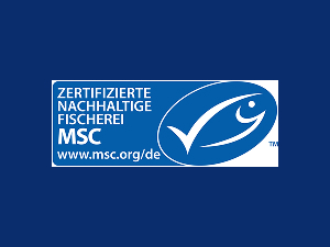 Nahaufnahmen von Händen, die Kameraausrüstung auf einer Holzoberfläche sorgfältig auseinandernehmen und untersuchen, technische Präzisionsarbeit zeigen.