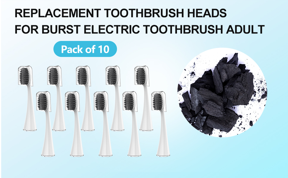 Replacement Toothbrush Heads for Burst Electric Toothbrush Adults with Dust Cover