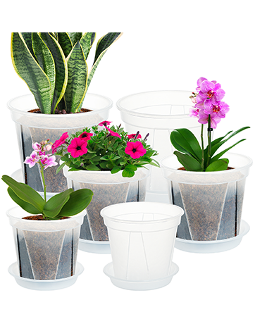 Plant Pot