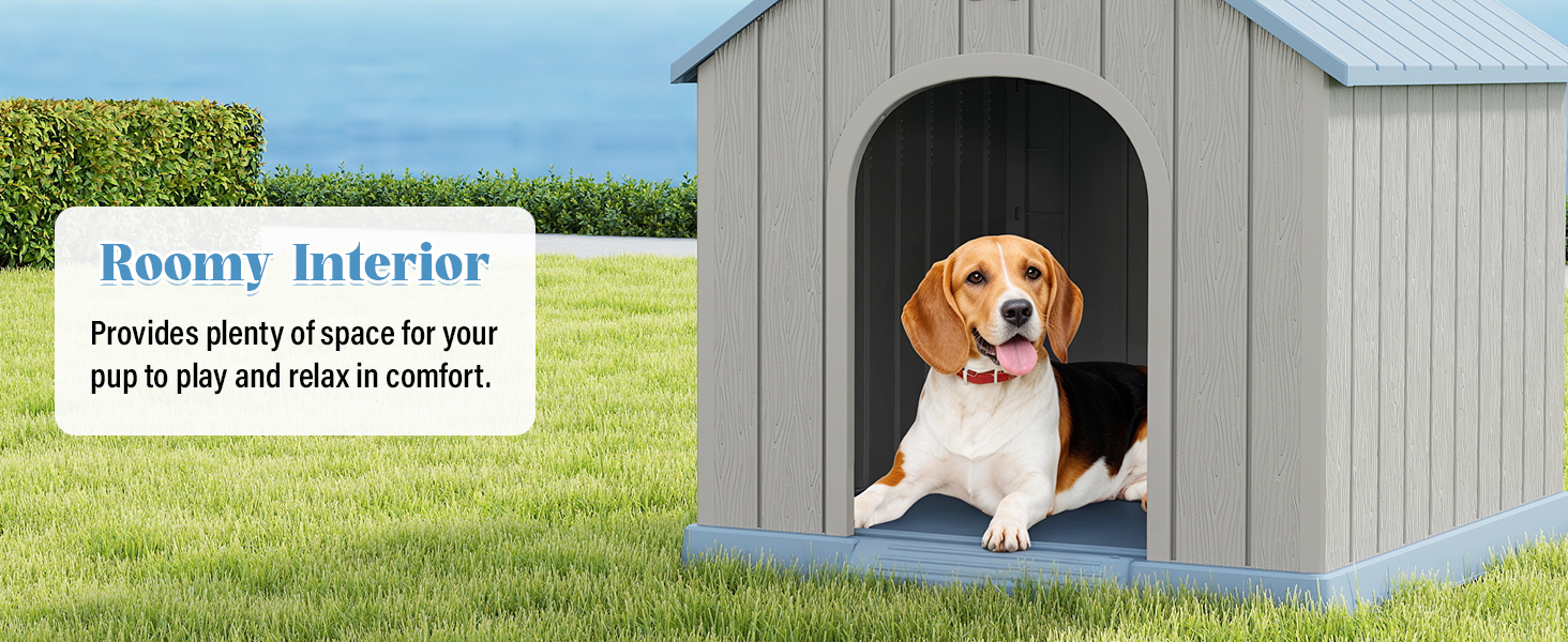 DOG HOUSE