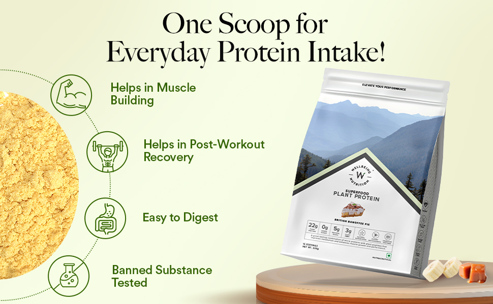 Wellbeing Nutrition Plant Protein British Banoffee Pie Banner 3