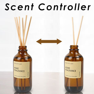 Reed diffuser