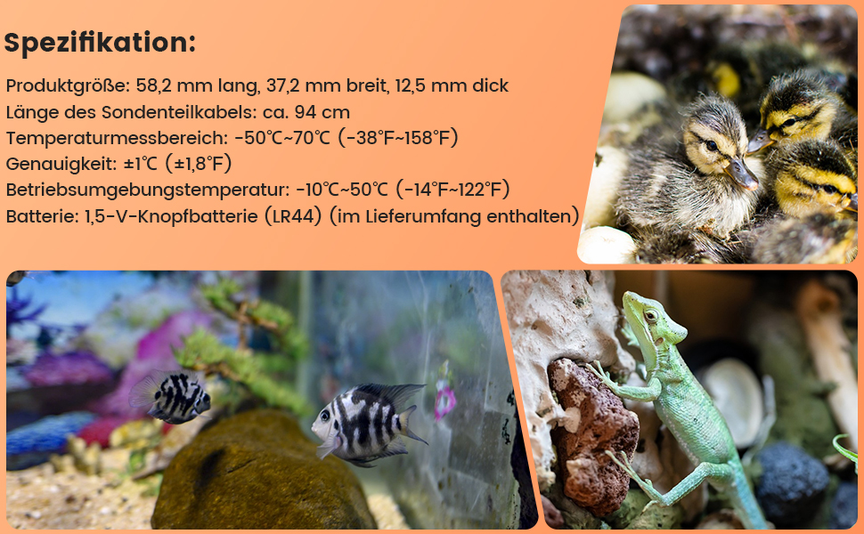Anzeige der technischen Daten mit Angaben zum Temperaturbereich sowie der Terrarieneinrichtung mit kleinen Reptilien und Dekorationselementen