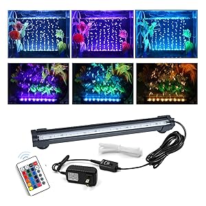 colorful aquarium light