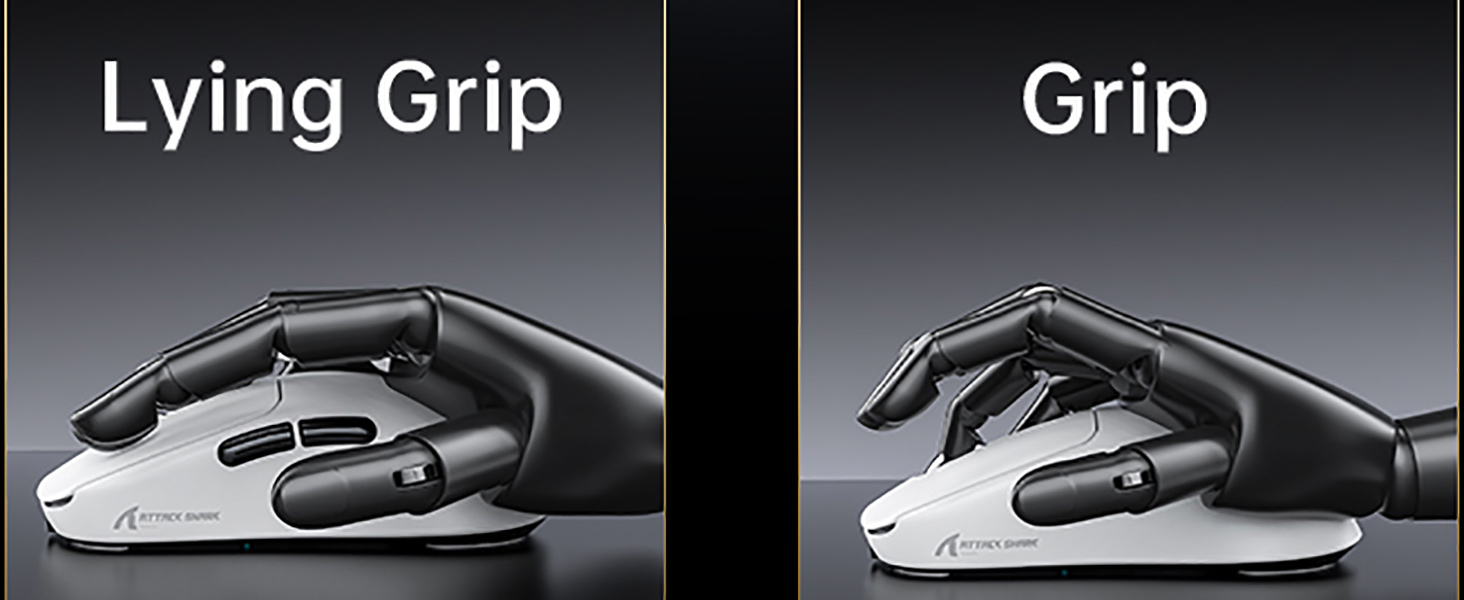 V5 MOUSE