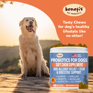 Tasting Dog Chews