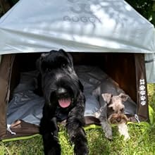 Pet Tent Play Tent Dog Tent