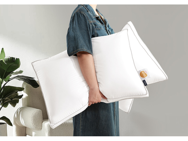 Globon Luxury Feather Down Pillow Standard Queen Size,Soft