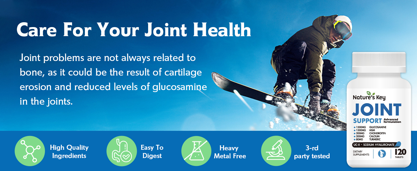 Nature's Key Glucosamine Chondroitin MSM Extra Strength