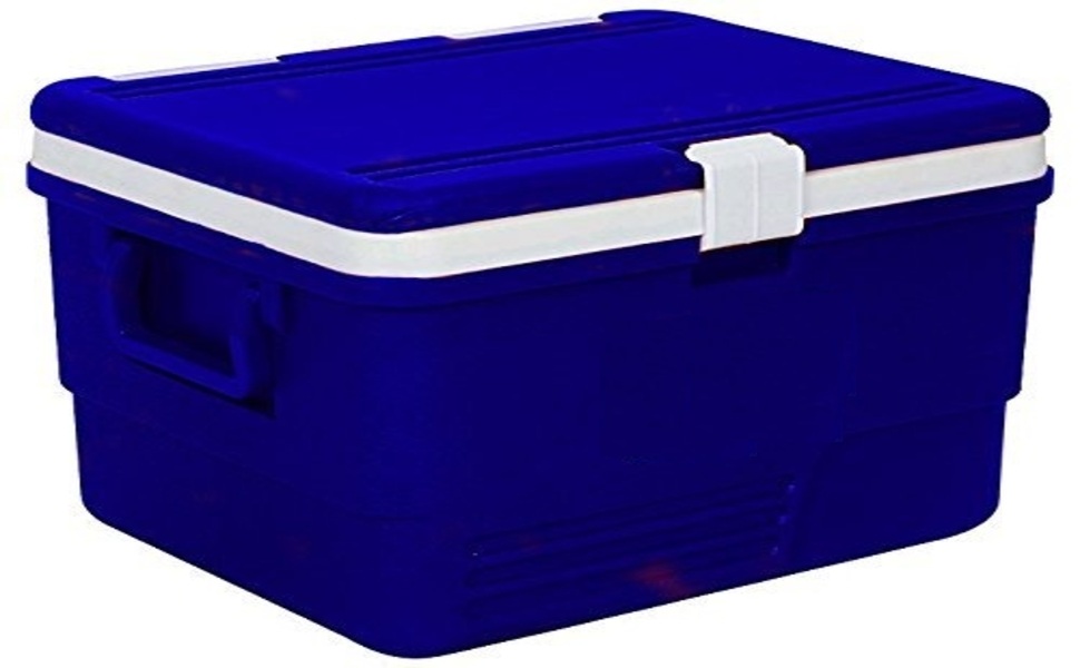 Buy GION 25 Liter Insulated Chiller Ice Box for Ice Cubes, Small Items