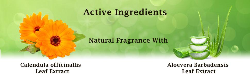 Key Ingredients SPN-SELCP