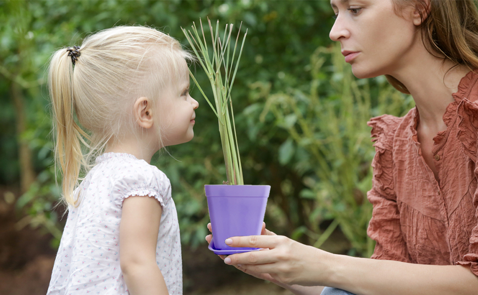 Square Flower Seedling Nursery Pot