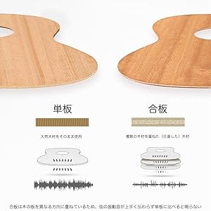 アコースティックギター クラシックギター アコギ セット 入門レベル 初心者 初級 弦楽器 演奏 練習 プレゼント 小学生 大人 カッタウェイ チューナー カポタスト ストラップ ピッグ