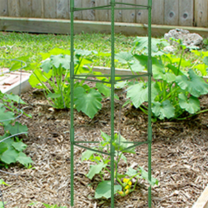 cage 8