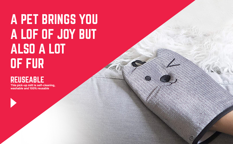 GPCA Winking Mitten Pet Hair, Fur and Lint Remover for