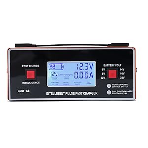 golf cart battery charger