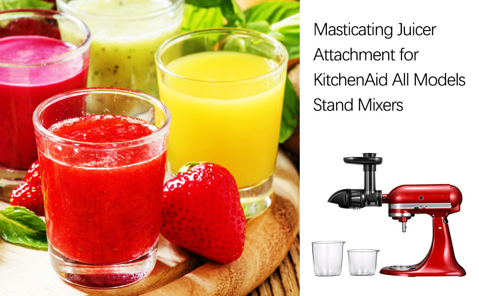 Masticating Juicer Attachment Compatible with KitchenAid All Models Stand Mixers