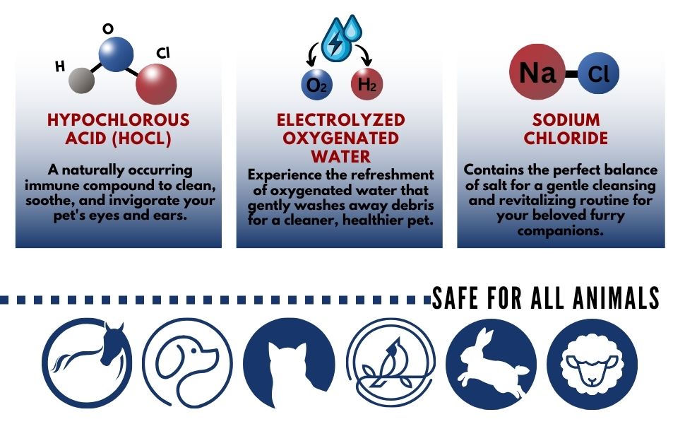 dog ear flush ear flush for dog dog earwash