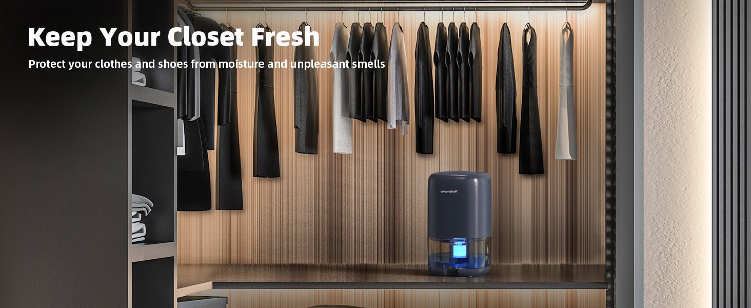 dehumidifier for closet