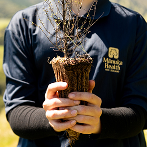 Small manufacture image 6