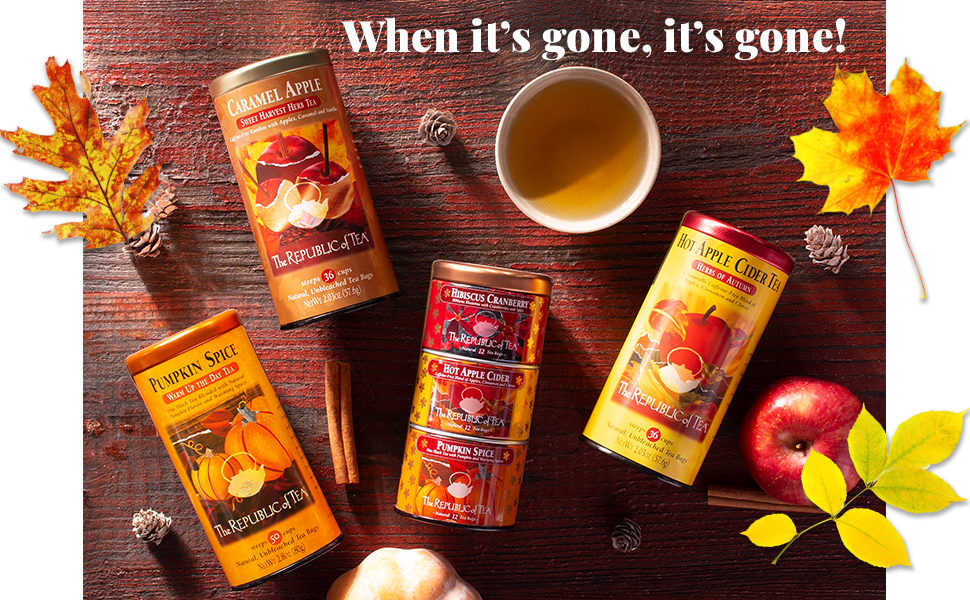 The Republic of Tea Hot Apple Cider