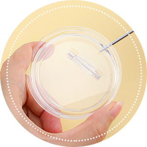 Small manufacture image 1