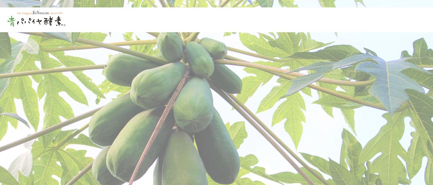 青パパイヤ酵素