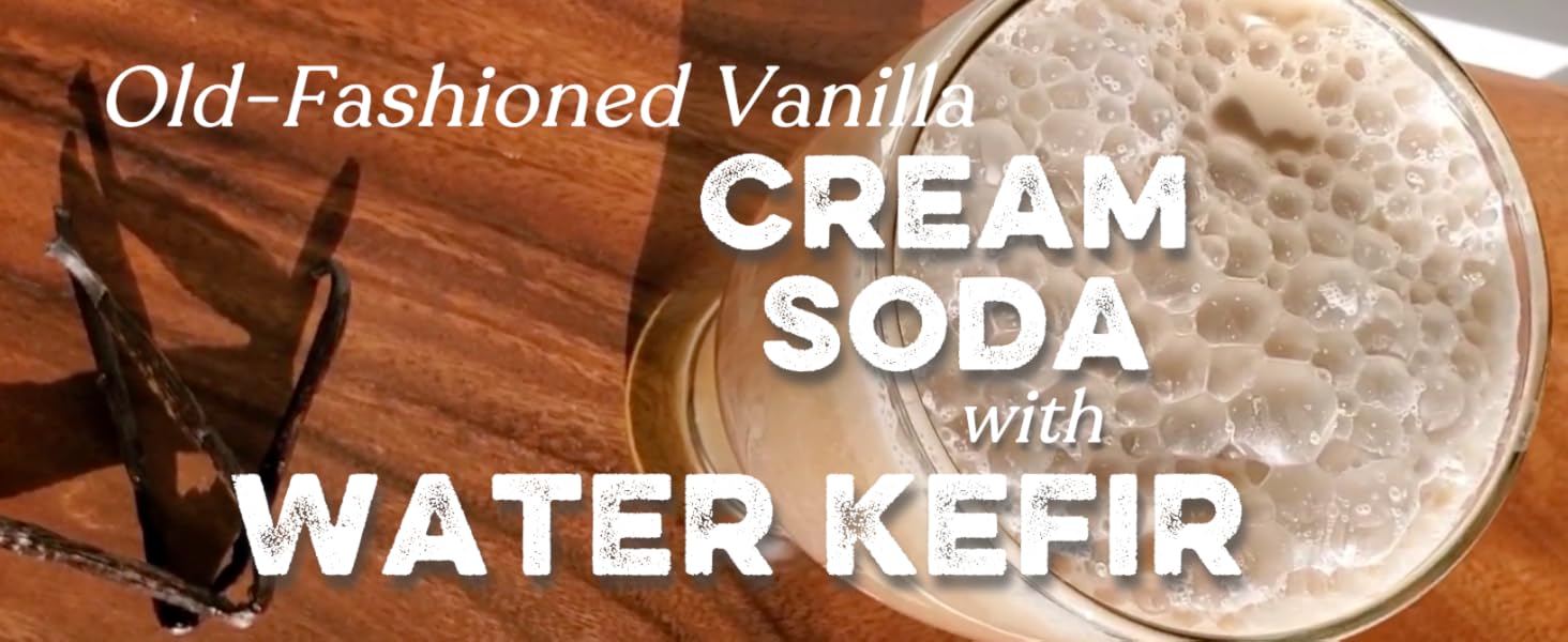 old-fashioned vanilla cream soda with water kefir; kefir water grains; kefir water; kefir grain;